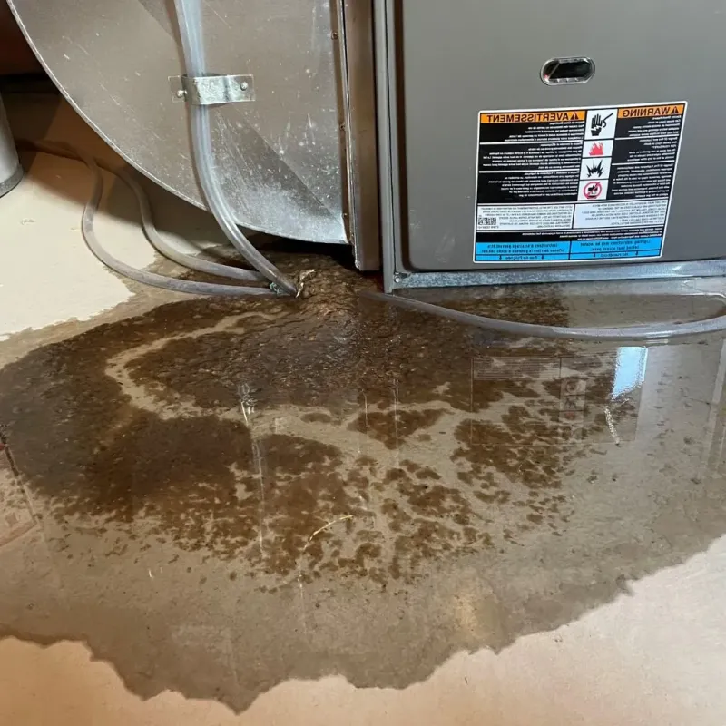 Pipe Burst and Leak Restoration in Coal Run Village, KY